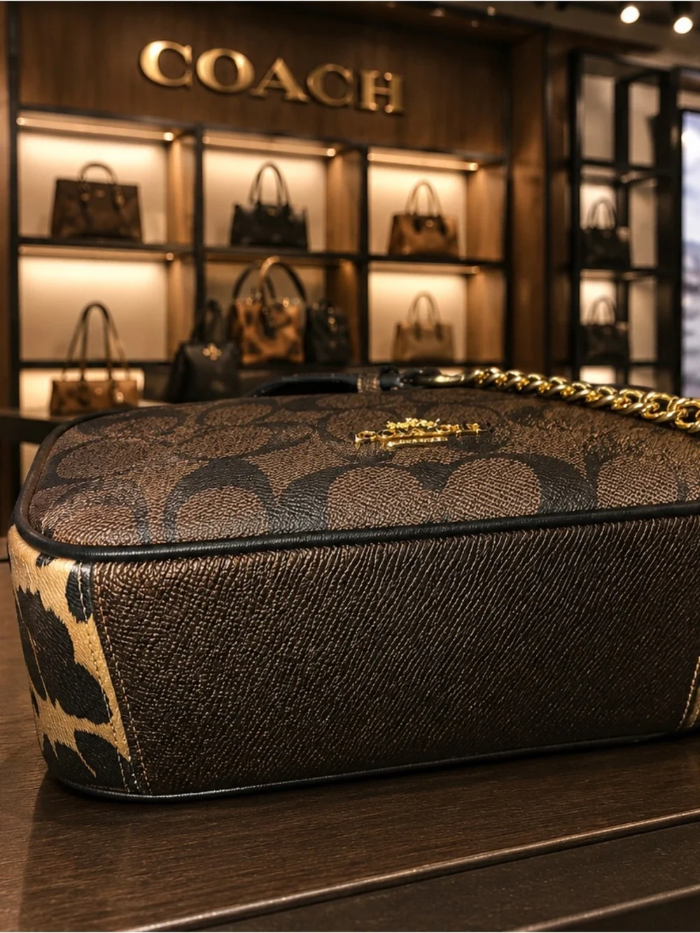 Coach Jamie Camera Bag (or Isla Chain Crossbody)